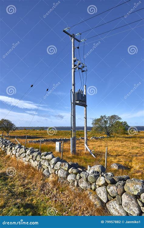 Poles in Sweden